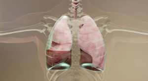Management of Pleural Insfections: What&#039;s New