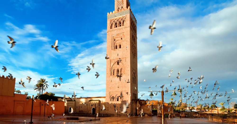 21ème Congrès de l&#039;AFMAPATH Marrakech 2024