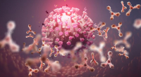 L'immunité induite par Omicron peut aider à réprimer la pandémie de COVID